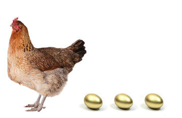 Le banche, l'est Europa e la gallina dalle uova d'oro