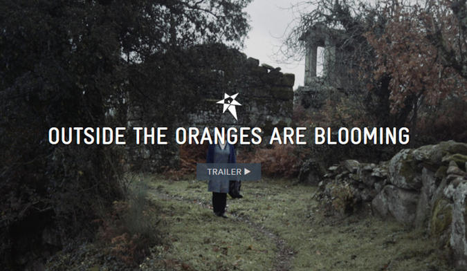 Trento Film Festival 2020 - da Outside the oranges are blooming