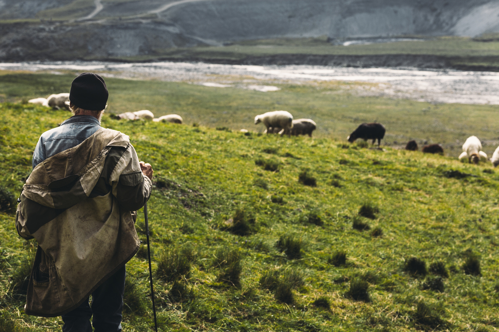 Pastore sulle montagne del Caucaso (© Sergey Tinyakov/Shutterstock)