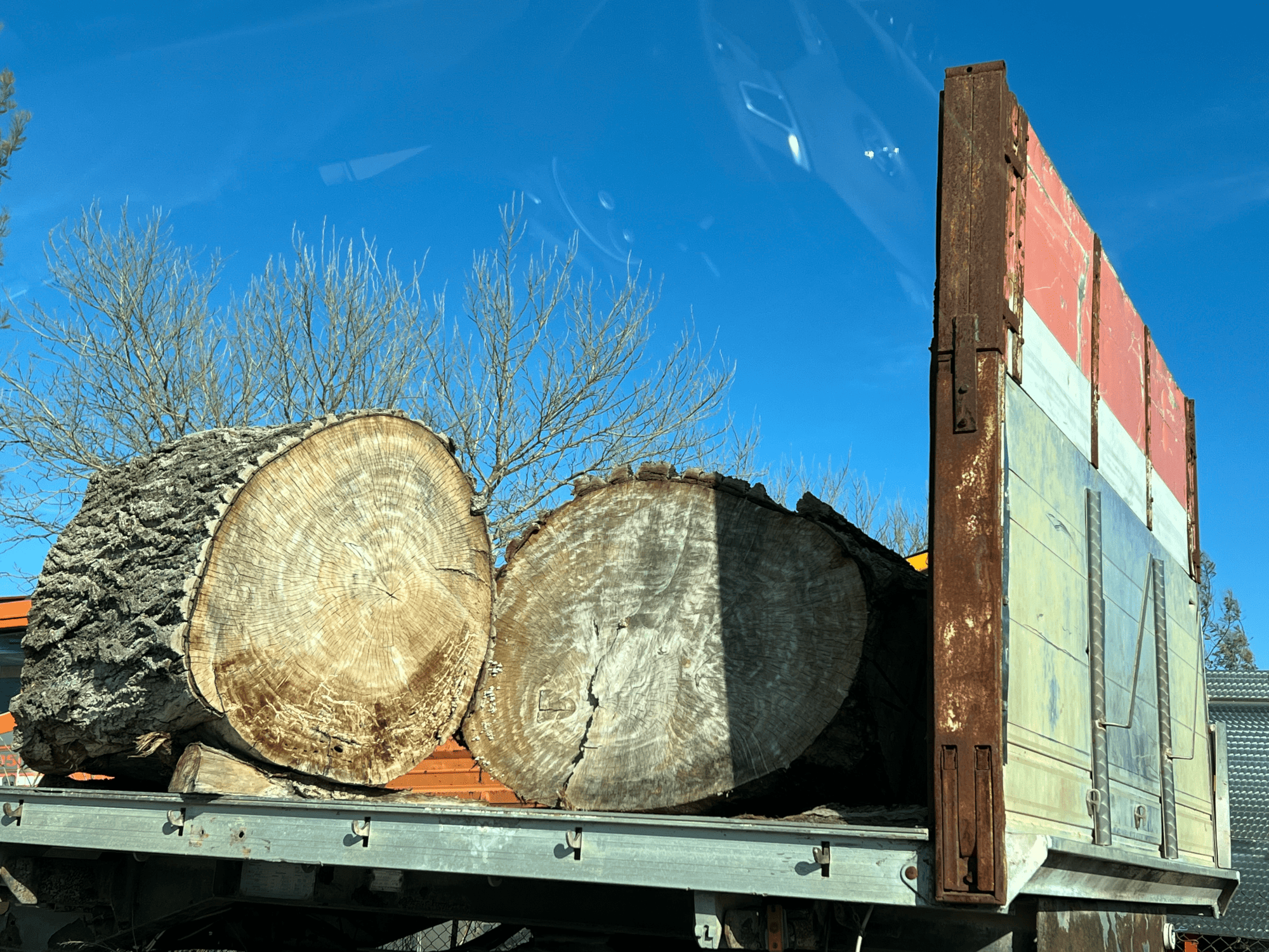 Precious wood logs in front of a sawmill - Photo by Marta Abbà Precious wood logs in front of a sawmill - Photo by Marta Abbà