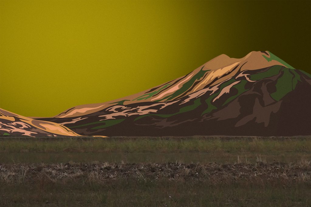 L'immagine di una radura con alle spalle una montagna L'immagine di una radura con alle spalle una montagna
