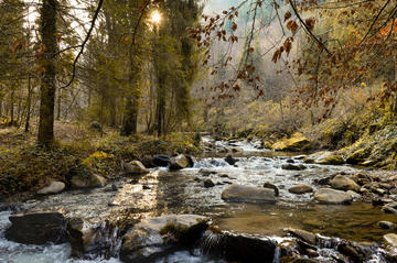 Kruščica, Bosna i Hercegovina © Alem Sabanovic/Shutterstock