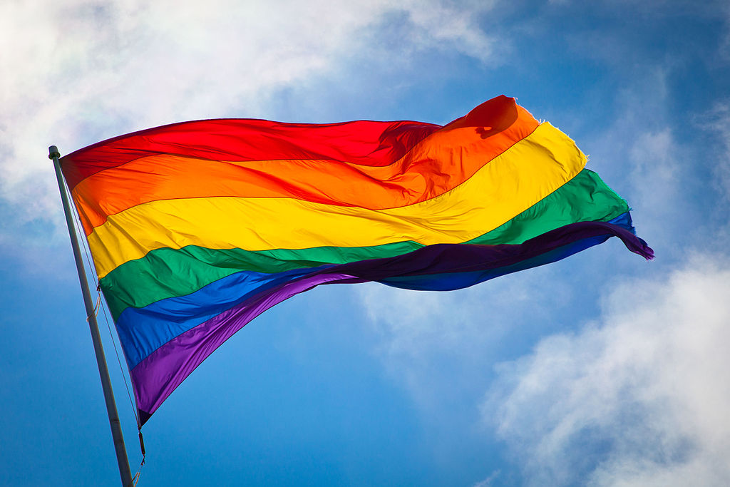 Bandiera arcobaleno (foto wikipedia) Bandiera arcobaleno (foto wikipedia)