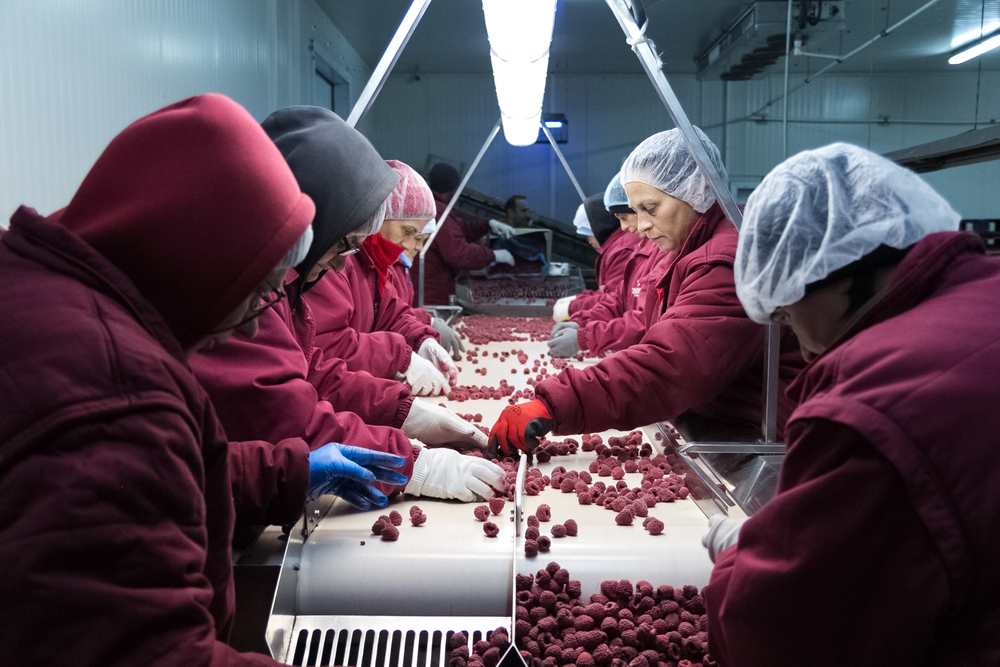 Lavoratrici a Bratunac (© Giovanni Vale/Shutterstock)