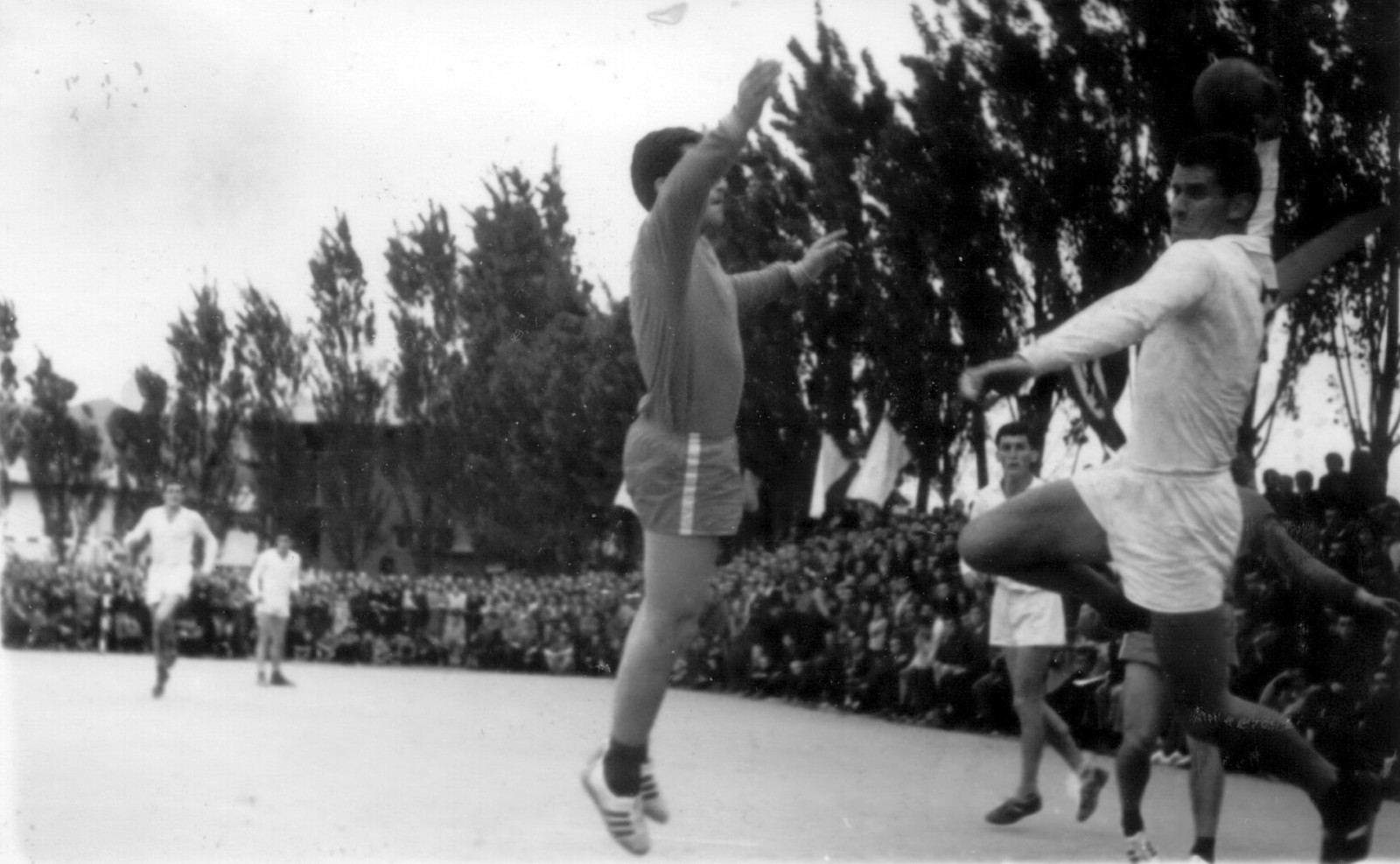 Foto dall'archivio privato di Zdenko Antović Foto dall'archivio privato di Zdenko Antović