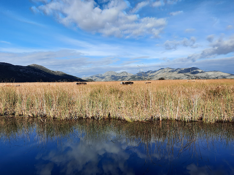 Lungo il delta della Neretva (foto G. Vale)