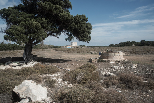 Stamfani (per gentile concessione dell'editore Patakis)