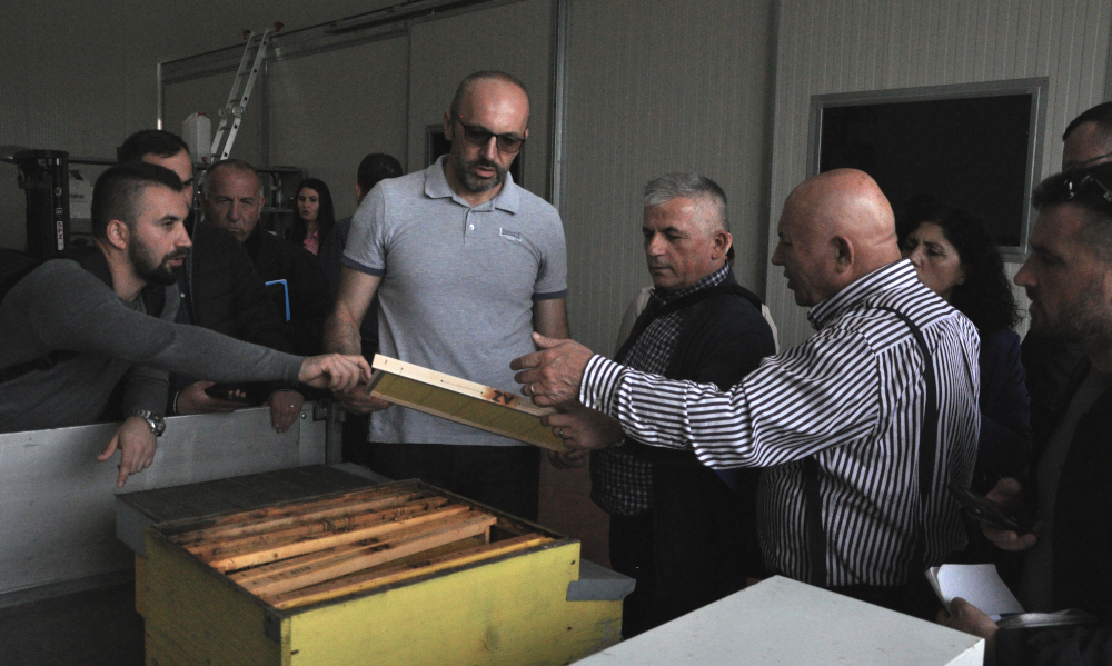 Il titolare dell'azienda apistica Zambelli mostra dei telaini - foto di Davide Sighele