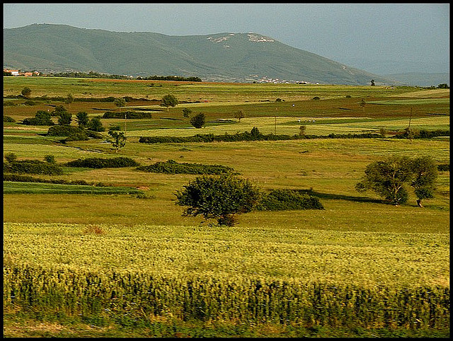 Golden farms, Kosovo - Senol Demir/flickr