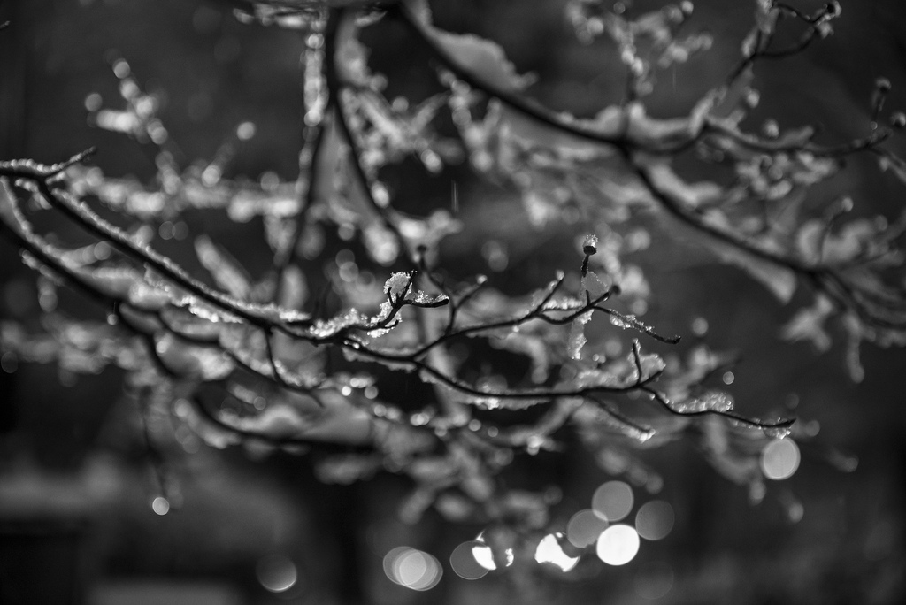 RobertJinks/flickr RobertJinks/flickr
