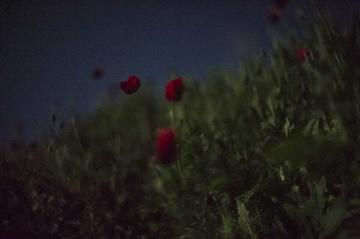 Scatto notturno lungo la linea di contatto in Nagorno-Karabakh (Angelo Emma)