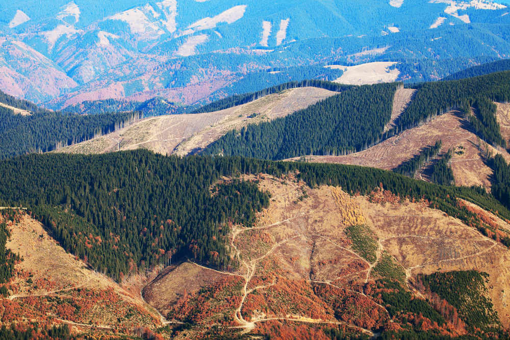 Ampie zone deforestate in Romania - © Mikadun/Shutterstock