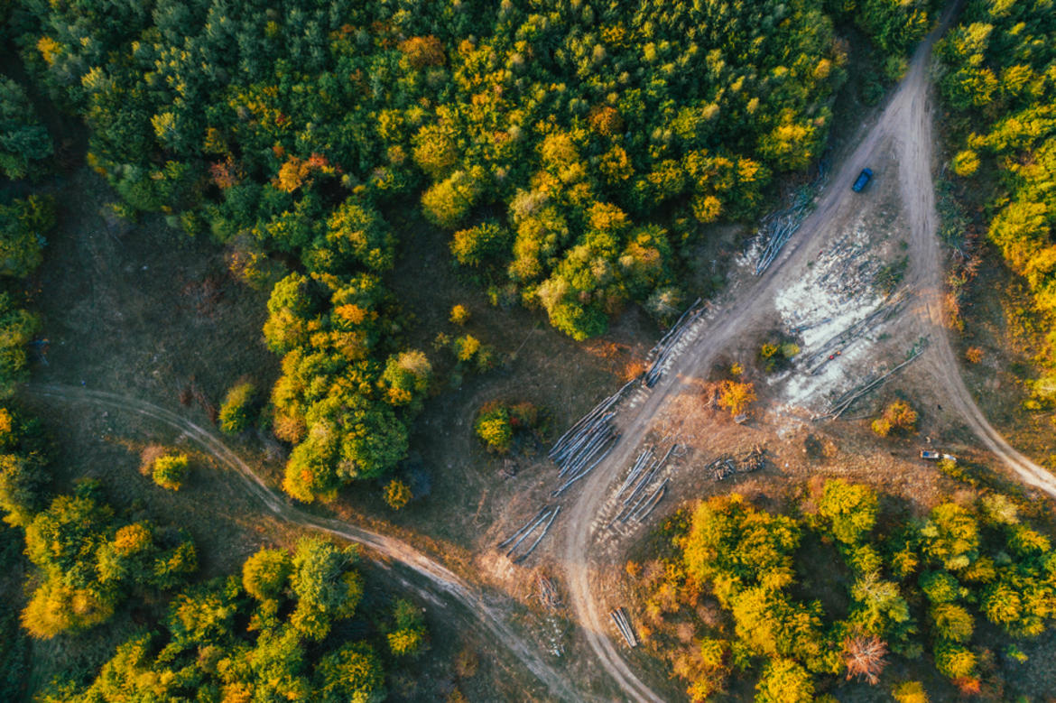 Logging activities in Romania (photo: © Beata  Angyalosi/Shutterstock)