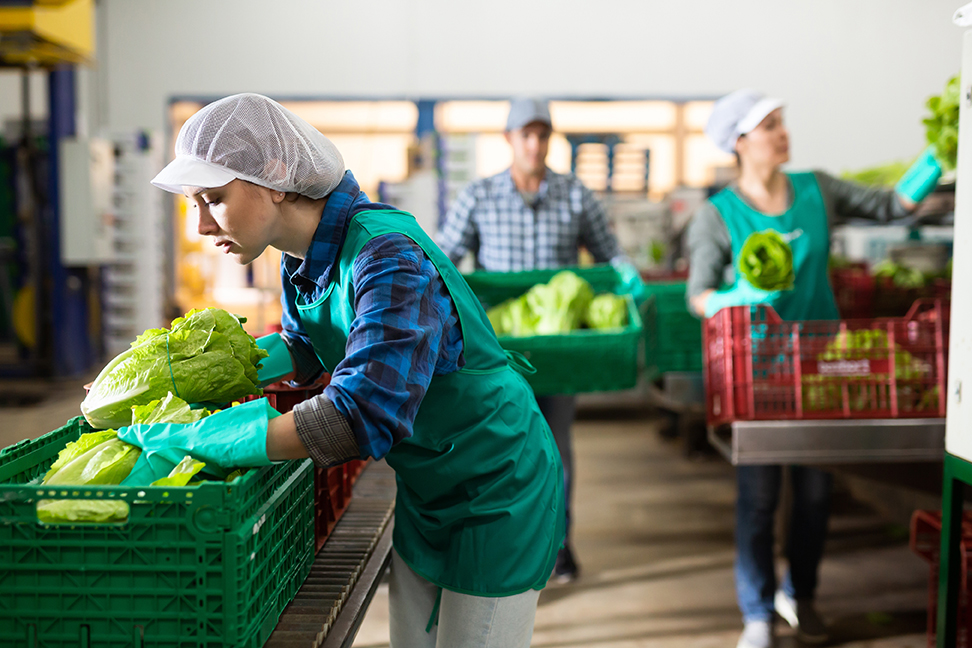 Donne al lavoro in un mercato di frutta e vedura © BearFotos/Shutterstock