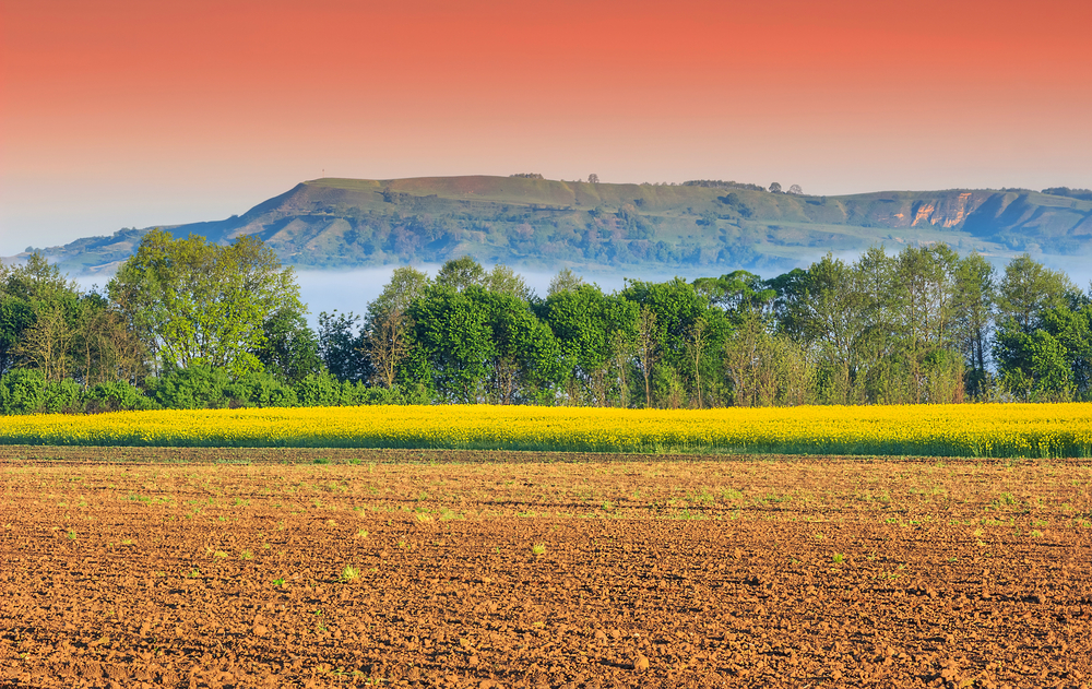 Un campo in Transilvania (© Gaspar Janos/Shutterstock)