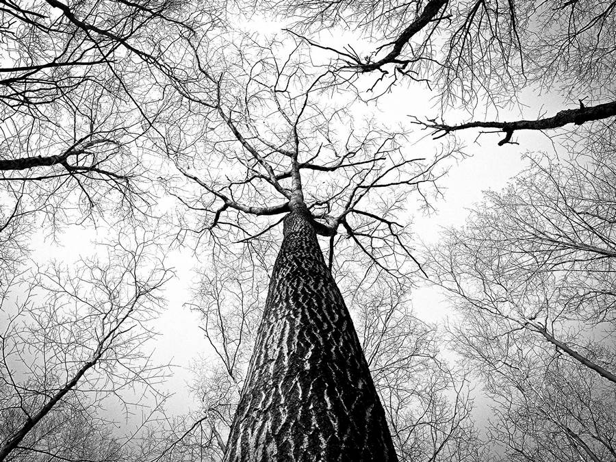 Photo Pixabay Photo Pixabay