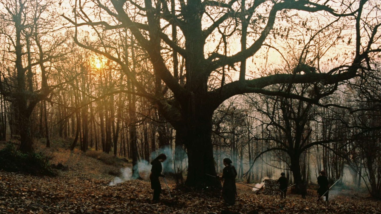 Nel bosco d'autunno, un'immagine tratta da “Zgodbe iz kostanjevih gozdov - Stories from the Chestnut Woods”