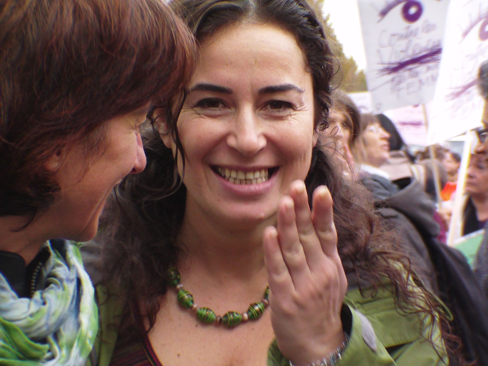 Pınar Selek, Wikipedia