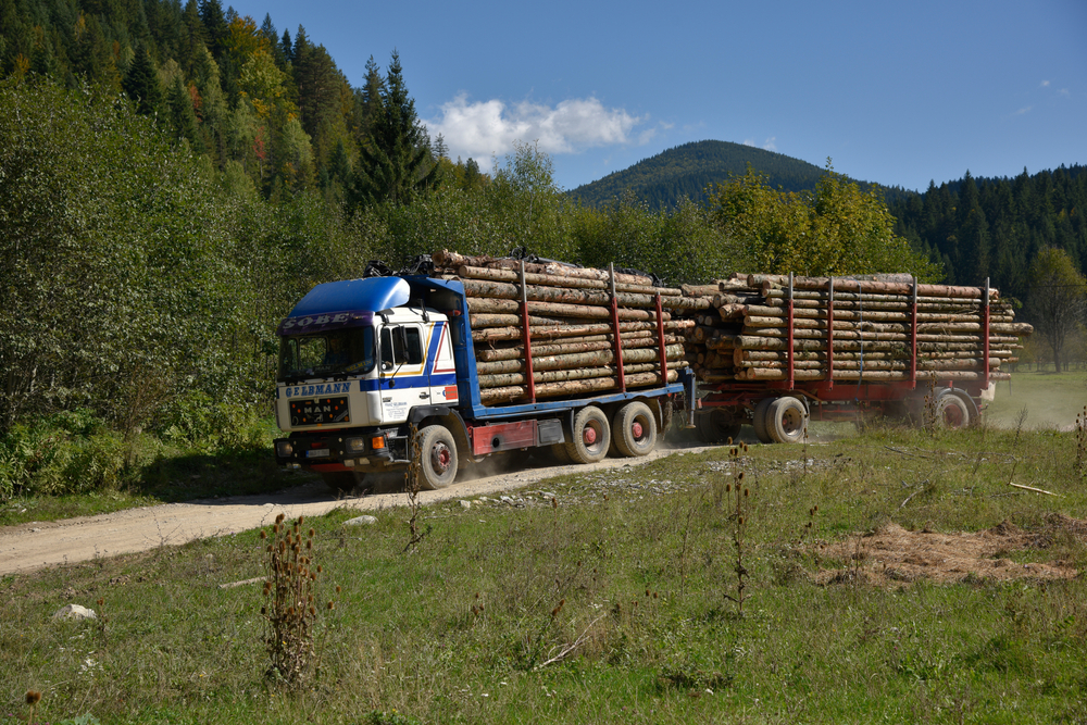 Fojnica, Bosna and Herzegovina © Baolin/Shutterstock Fojnica, Bosna and Herzegovina © Baolin/Shutterstock