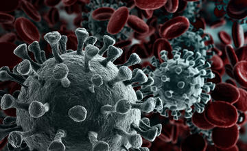Coronavirus rendering 3D (© creativeneko/Shutterstock)