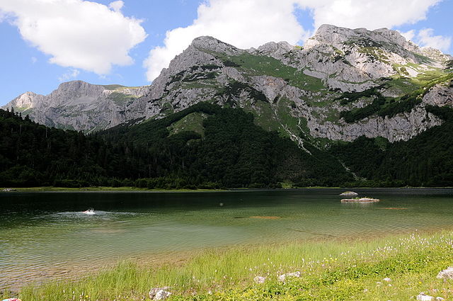 Parco nazionale di Sutjeska - Wikimedia