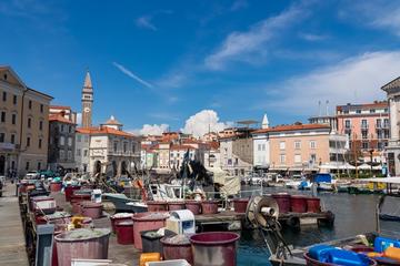 Pirano - © Christopher Moswitzer/Shutterstock