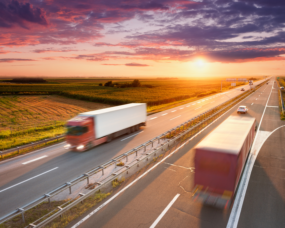 Lungo l'autostrada nei pressi di Belgrado (© Rasica/Shutterstock)