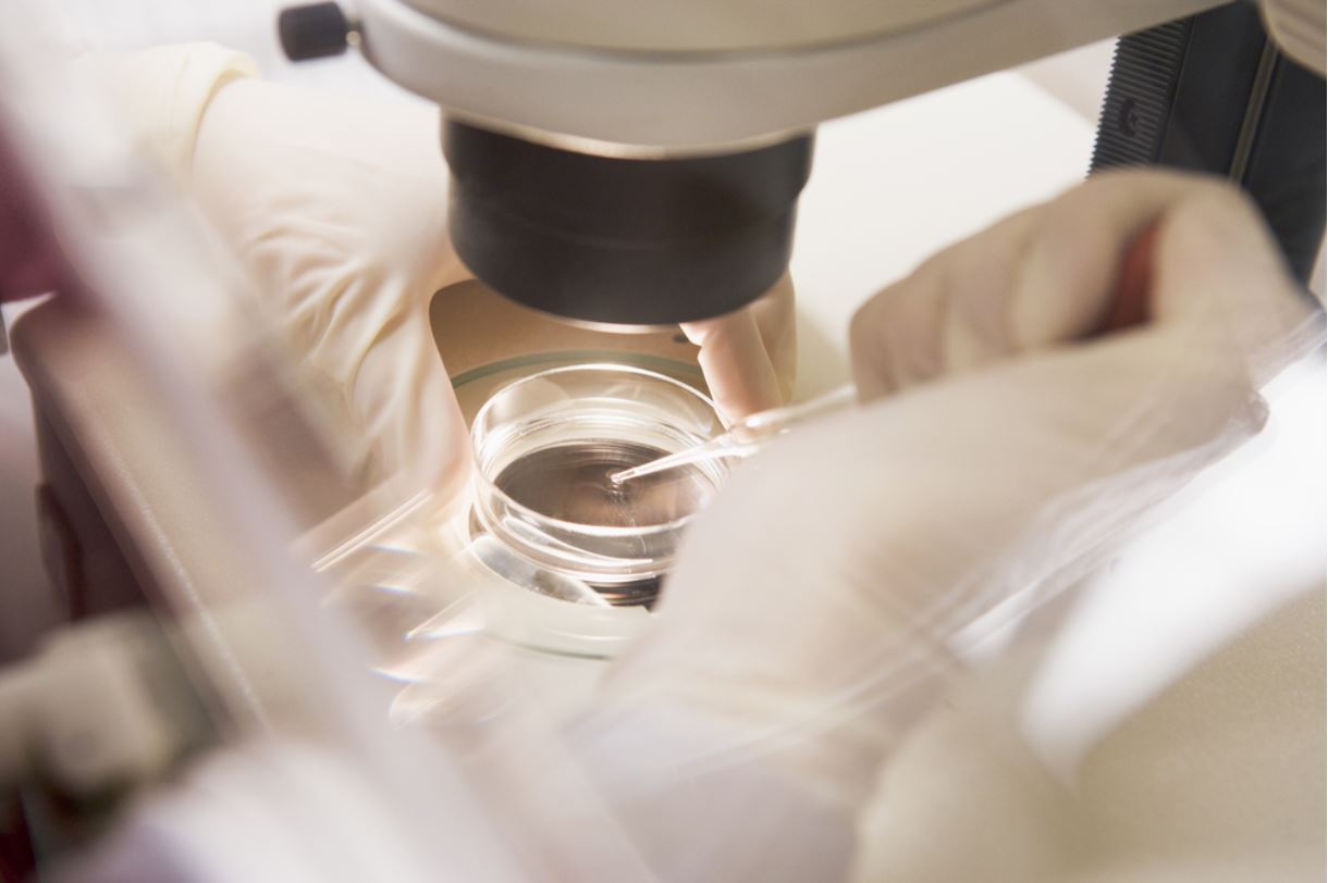 Una fase della fecondazione in vitro - © Monkey Business Images/Shutterstock Una fase della fecondazione in vitro - © Monkey Business Images/Shutterstock