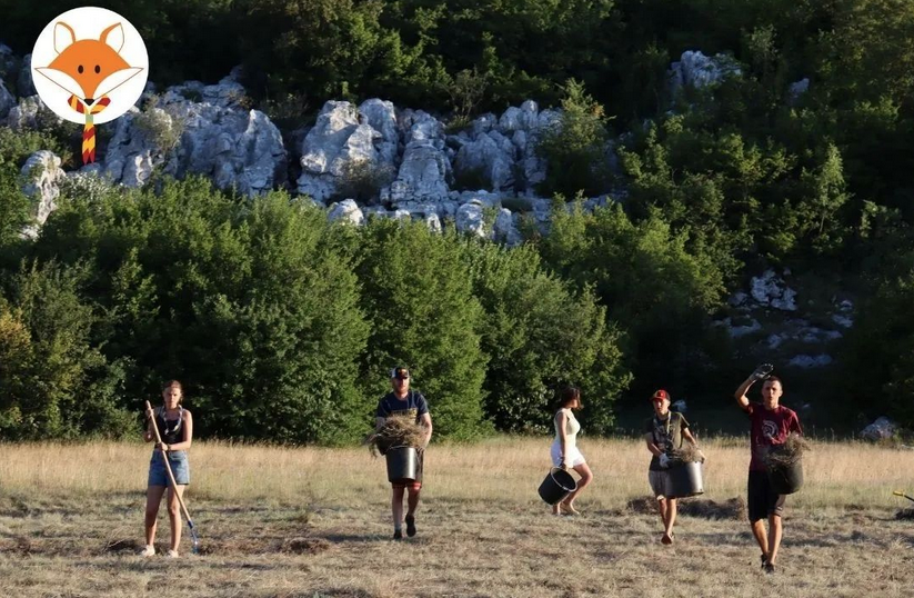 Alcuni scout durante recenti attività di pulizia del bosco a Grahovo, Montenegro - http://www.scouts.org.me/