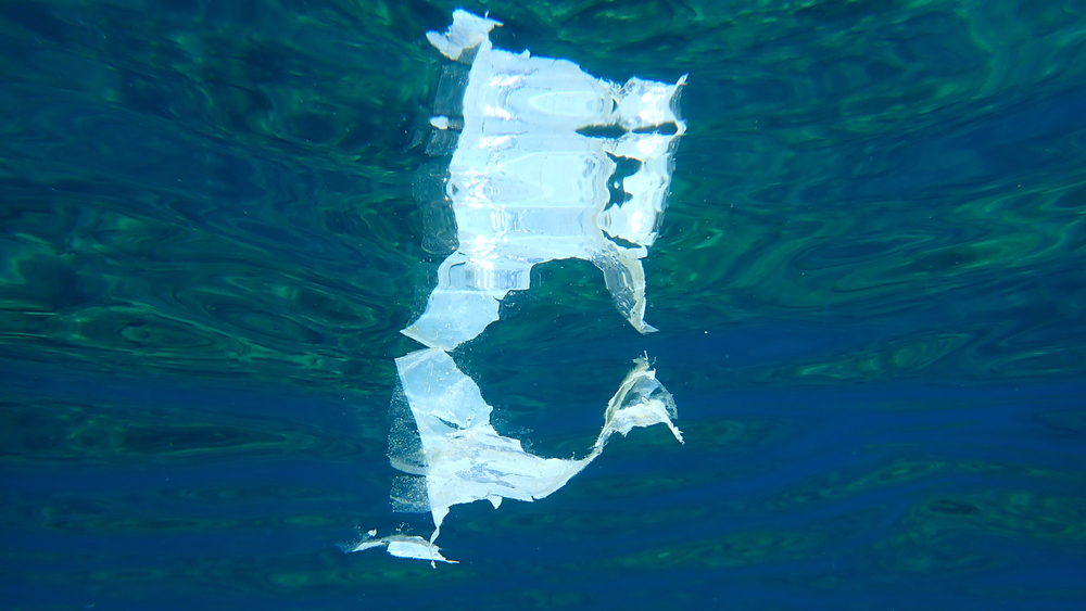 Un pezzo di platica in mare, Calcidica, Grecia