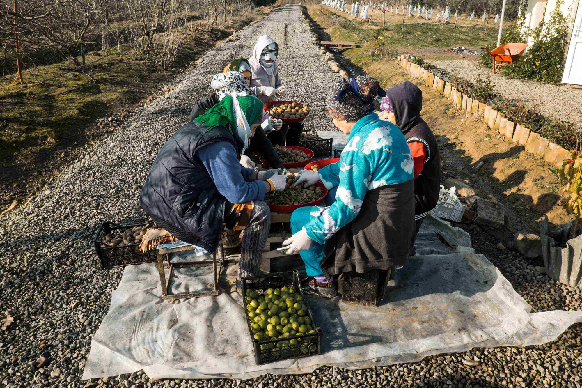  (foto di Chichek Bayramli/Chai Khana)