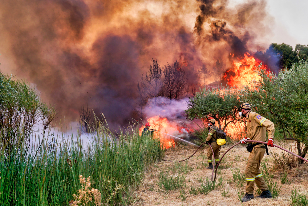 Forest fires in Greece - © Ververidis Vasilis/Shutterstock