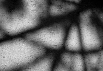 Ombre, foto Alan Levin - Flickr.jpg