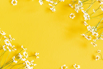 Composizione di fiori di camomilla su sfondo giallo (© Flaffy/Shutterstock)