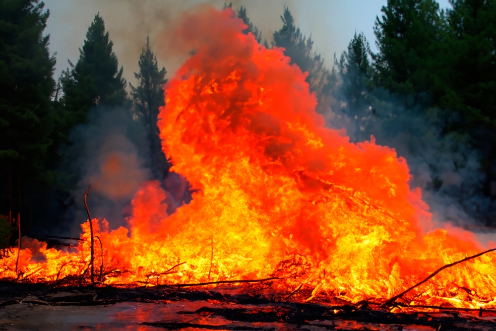 Incendio boschivo a Rodi, Grecia © Fernando Astasio Avila/Shutterstock