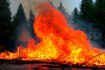 Incendio boschivo a Rodi, Grecia © Fernando Astasio Avila/Shutterstock