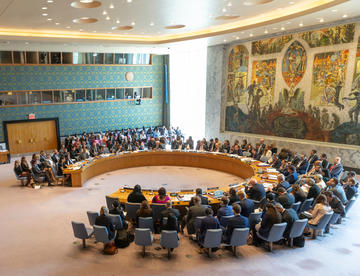 New York, durante una seduta del Consiglio di Sicurezza dell'ONU © lev radin/Shutterstock