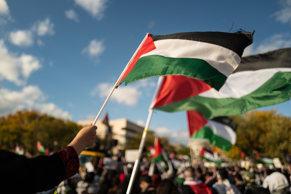 Bandiere palestinesi - © Volodymyr TVERDOKHLIB/Shutterstock