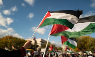 Bandiere palestinesi - © Volodymyr TVERDOKHLIB/Shutterstock