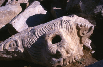 Una protome leonina che fungeva da doccione del tempio di Zeus a Cizico, Foto F. Polacco