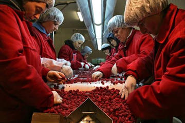 Lavoratrici della Cooperativa Insieme – foto © Mario Boccia.jpg Lavoratrici della Cooperativa Insieme – foto © Mario Boccia.jpg