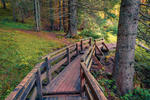 10_Ponte di legno © Andrew Mayovskyy Shutterstock