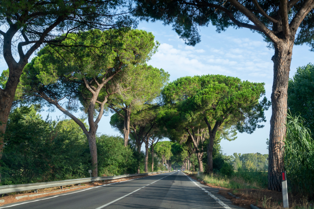 Via Appia, Roma © barmalini/SHutterstock Via Appia, Roma © barmalini/SHutterstock