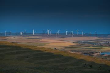 Turbine eoliche nella regione di Dobrogea, Romania - © Dragos Asaftei/Shutterstock