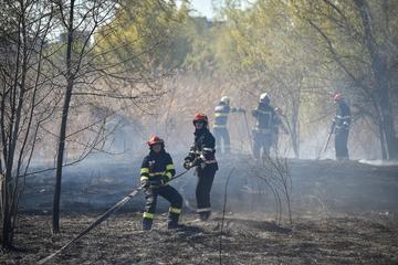 Incendi al Parco naturale di Vacaresti in Romania © roibu/Shutterstock