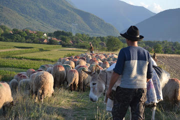 Monti Retezat, Carpazi meridionali, Romania (foto di R. M. Burbulea)