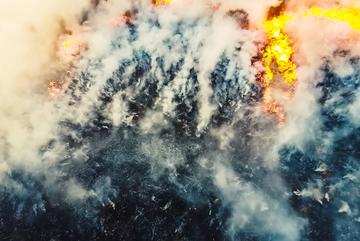 Russia, foresta in fiamme - © LuYago/Shutterstock