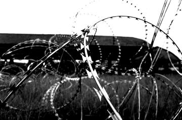 Filo spinato, foto di Matteo 0702 - Flickr.com.jpg Filo spinato, foto di Matteo 0702 - Flickr.com.jpg