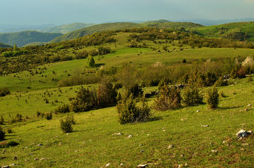 Una veduta dell'altopiano di Pešter, Serbia, ad inizio estate di qualche anno fa- © Andrija Ivanovic/Shutterstock