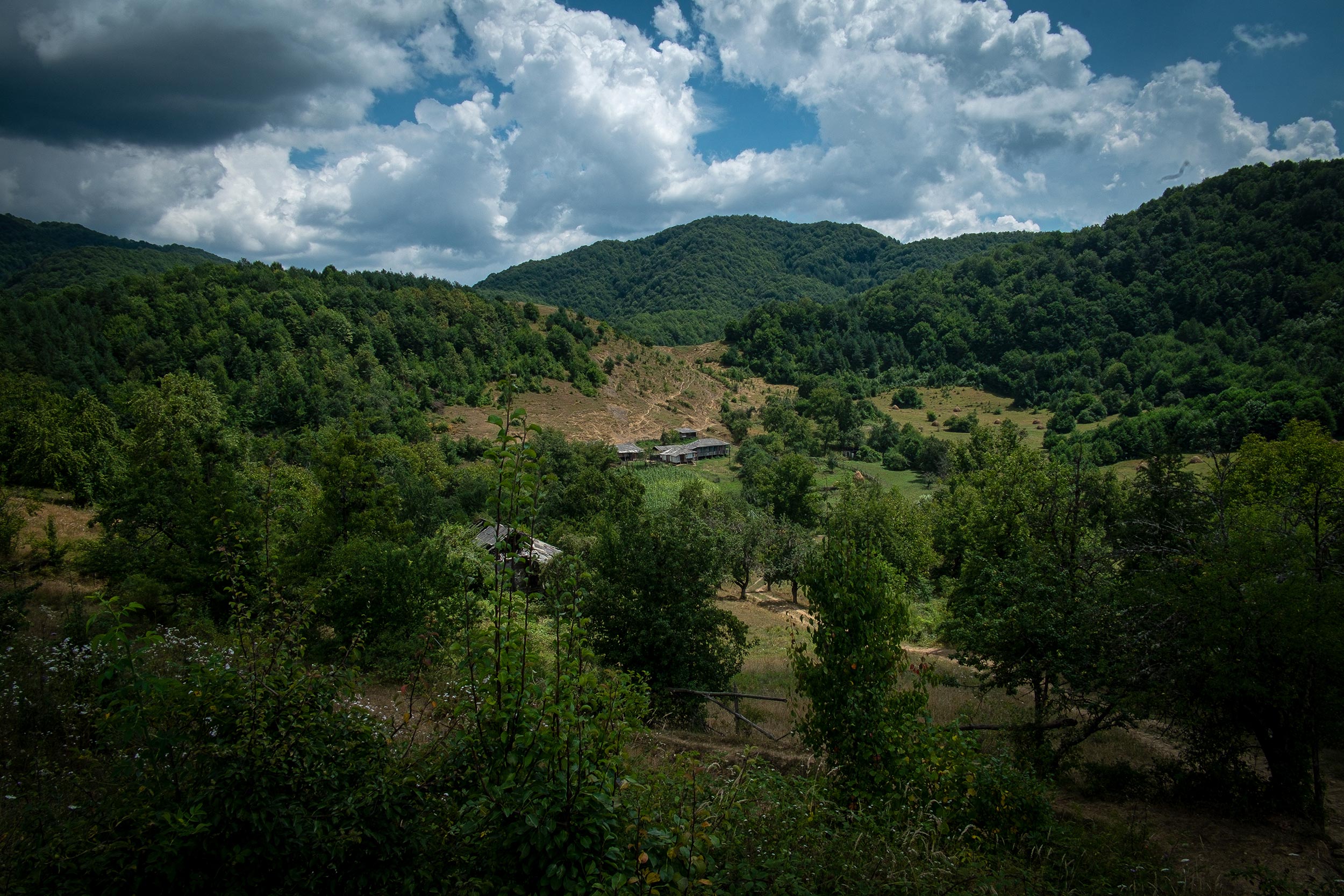 Una vista dall'alto delle case del villaggio di Chvebari, Georgia - foto di Basa Metreveli Una vista dall'alto delle case del villaggio di Chvebari, Georgia - foto di Basa Metreveli